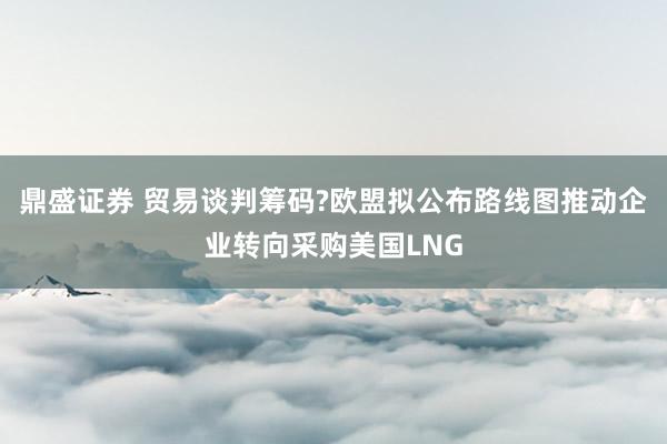鼎盛证券 贸易谈判筹码?欧盟拟公布路线图推动企业转向采购美国LNG