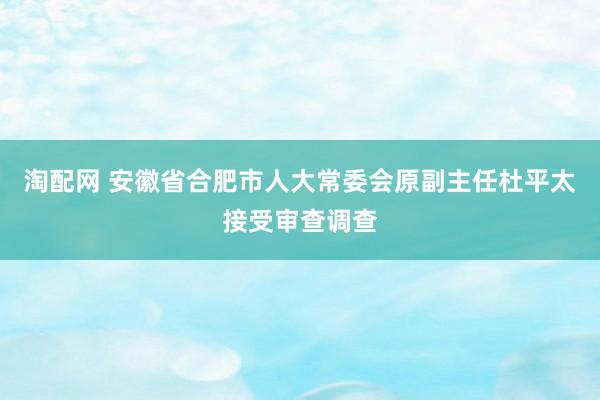 淘配网 安徽省合肥市人大常委会原副主任杜平太接受审查调查