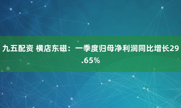九五配资 横店东磁：一季度归母净利润同比增长29.65%