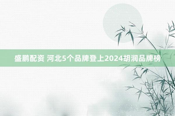 盛鹏配资 河北5个品牌登上2024胡润品牌榜