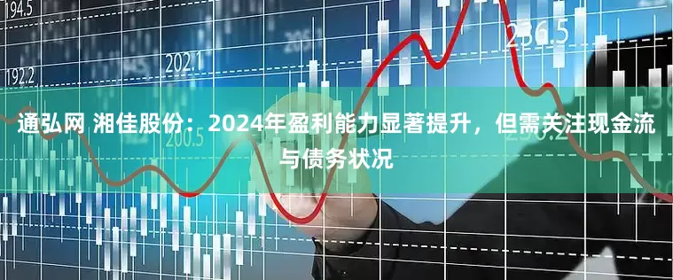 通弘网 湘佳股份：2024年盈利能力显著提升，但需关注现金流与债务状况