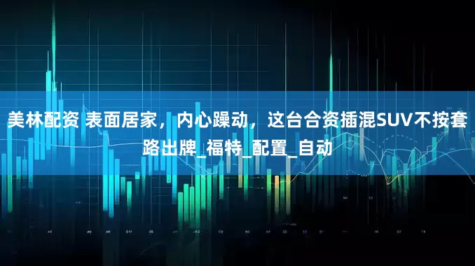 美林配资 表面居家，内心躁动，这台合资插混SUV不按套路出牌_福特_配置_自动