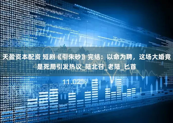 天盈资本配资 短剧《引朱砂》完结：以命为聘，这场大婚竟是死局引发热议_陆北召_老陆_匕首